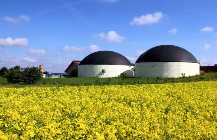 Biogas