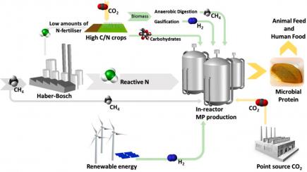 Microbes and the next nitrogen revolution